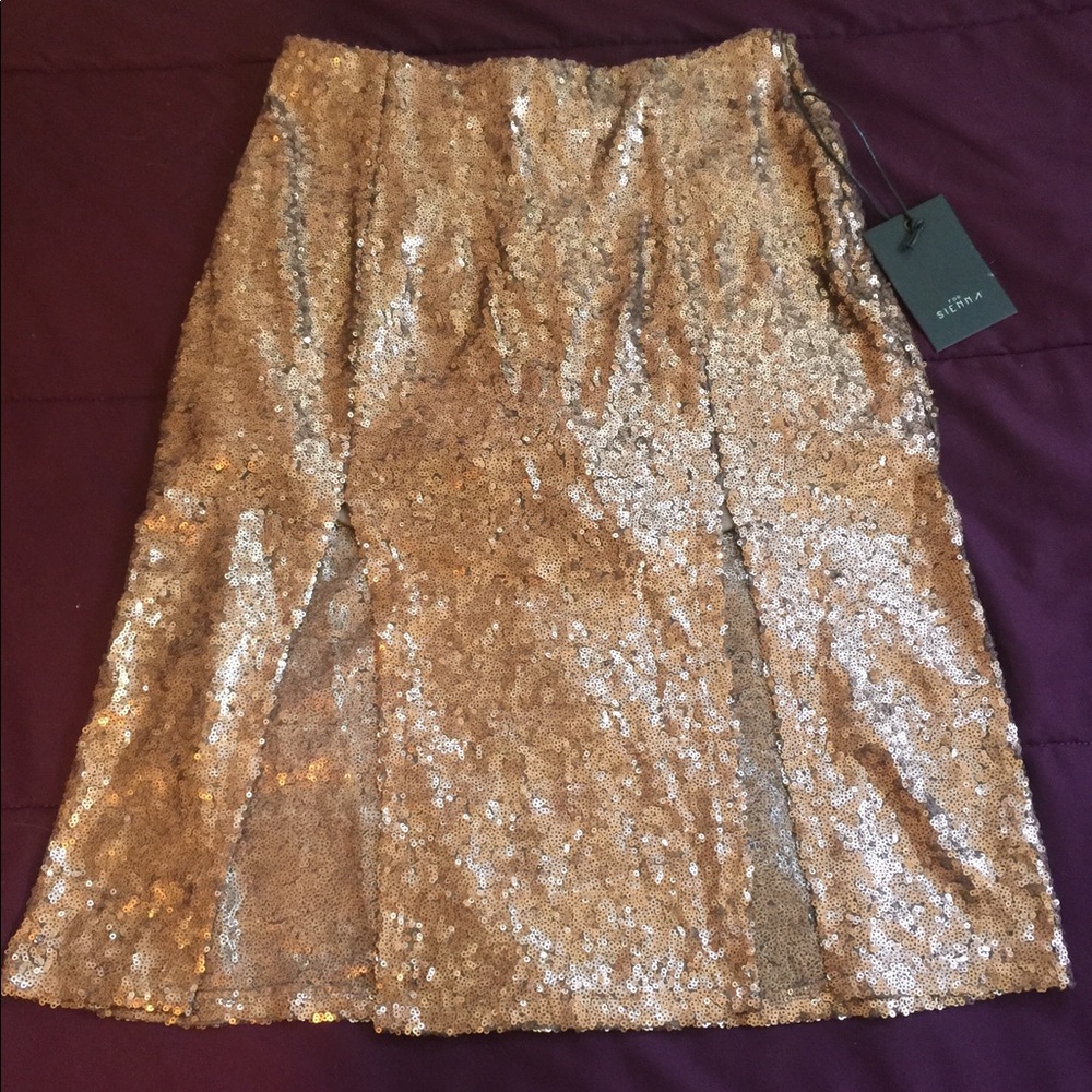 Gold Sequined Skirt